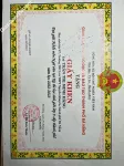 ảnh đính kèm của gia sư