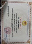 ảnh đính kèm của gia sư
