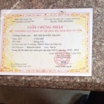 ảnh đính kèm của gia sư