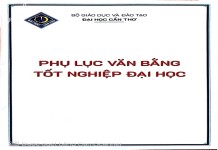 ảnh đính kèm của gia sư