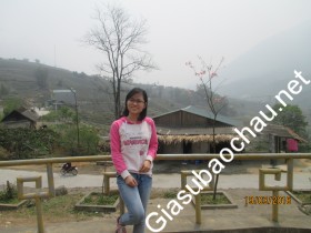 gia sư Hà Nội