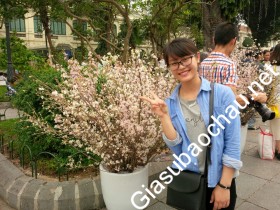 gia sư Hà Nội
