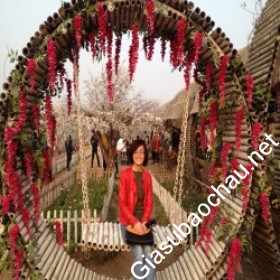 gia sư Hà Nội