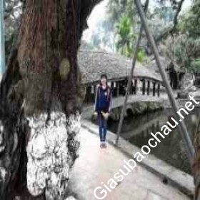 gia sư Hà Nội