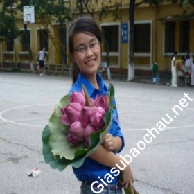 gia sư Hà Nội