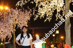 gia sư Đà Nẵng