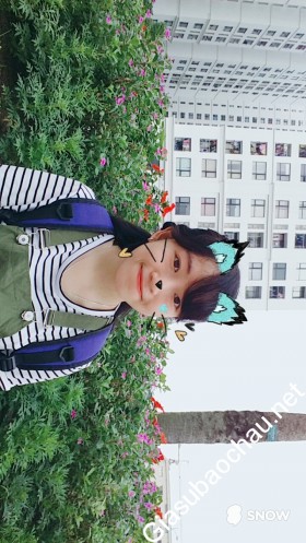 gia sư Hà Nội