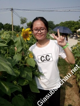 gia sư Hà Nội