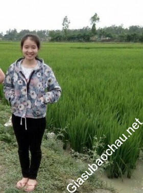 gia sư Đà Nẵng