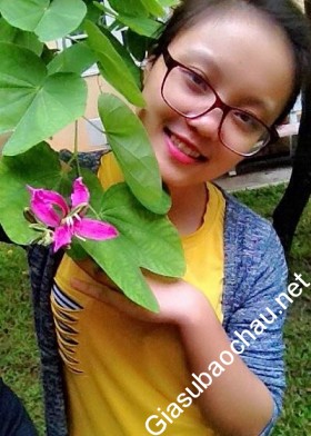 gia sư Quảng Ninh