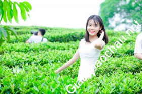 gia sư Hà Nội