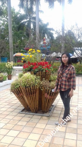 gia sư Đà Nẵng