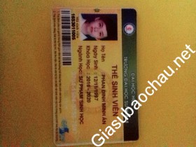 gia sư Thừa Thiên Huế