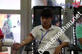 gia sư Hà Nội