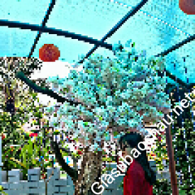 gia sư Hà Nội