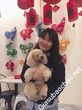 gia sư Hà Nội