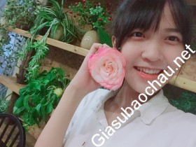 gia sư Hà Nội
