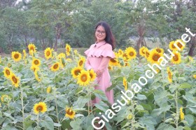 gia sư Hà Nội