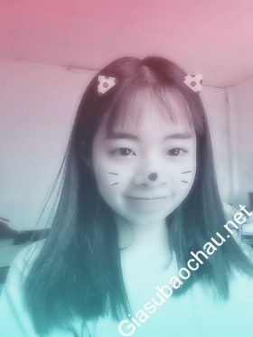 gia sư Hà Nội