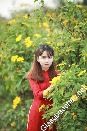 gia sư Hà Nội