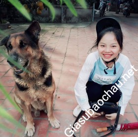 gia sư Hà Nội