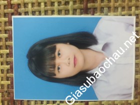 gia sư Vĩnh Phúc