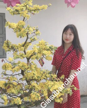gia sư Hà Nội