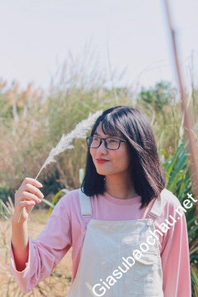 gia sư Hà Nội