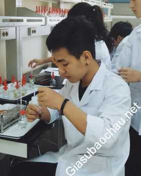 gia sư Hà Nội