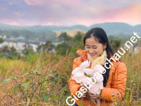gia sư Thừa Thiên Huế