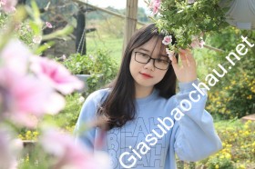 gia sư Hà Nội