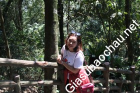 gia sư Hà Nội