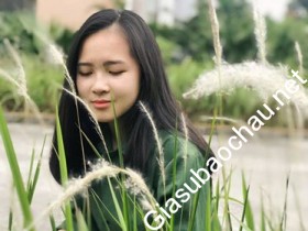 gia sư Hà Nội