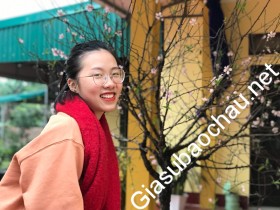 gia sư Hà Nội
