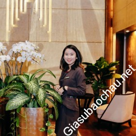 gia sư Bình Thuận