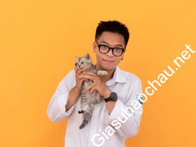 gia sư Hà Nội