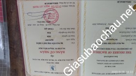 gia sư Đà Nẵng
