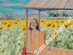 gia sư Đà Nẵng
