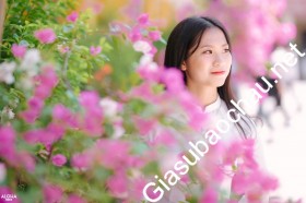 gia sư Hà Nội