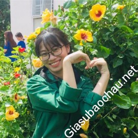 gia sư Hà Nội