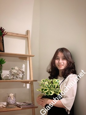 gia sư Hà Nội