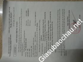 gia sư Hà Nội