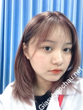 gia sư Hà Nội