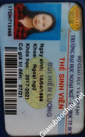 gia sư Hồ Chí Minh