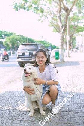 gia sư Đà Nẵng