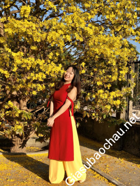 gia sư Hồ Chí Minh
