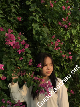 gia sư Thái Bình
