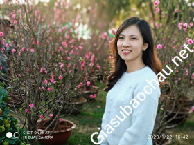 gia sư Hà Nội