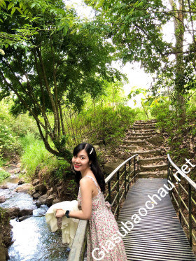 gia sư Hồ Chí Minh