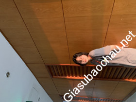 gia sư Hà Nội